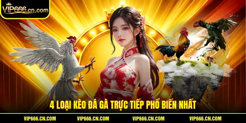 4 loại Kèo đá gà trực tiếp phổ biến nhất