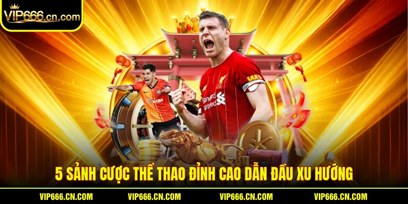 5 sảnh cược thể thao đỉnh cao dẫn đầu xu hướng