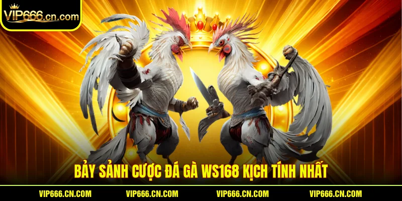 Bảy sảnh cược Đá gà WS168 kịch tính nhất