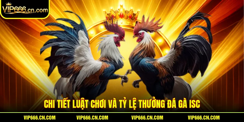 Chi tiết luật chơi và tỷ lệ thưởng Đá gà ISC