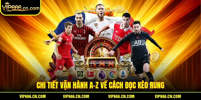 Chi tiết vận hành A-Z về cách đọc kèo rung