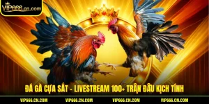 Đá Gà Cựa Sắt