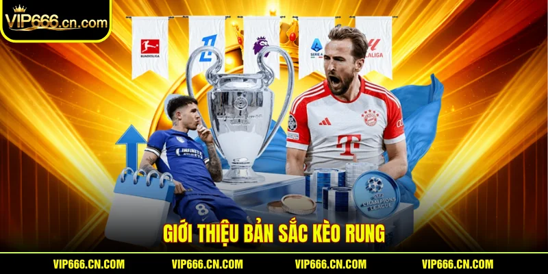 Giới thiệu bản sắc kèo rung