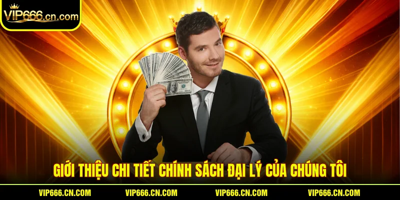 Giới thiệu chi tiết chính sách đại lý của chúng tôi