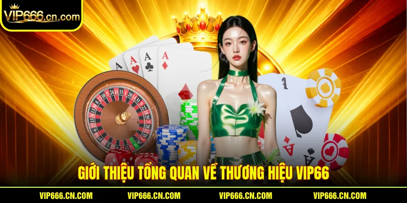 Giới thiệu tổng quan về thương hiệu VIP66