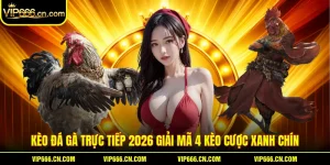 Kèo Đá Gà Trực Tiếp