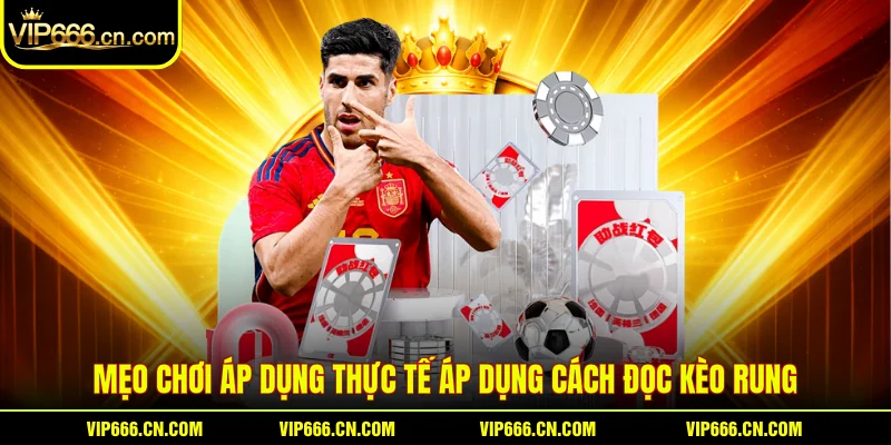 Mẹo chơi áp dụng thực tế áp dụng cách đọc kèo rung