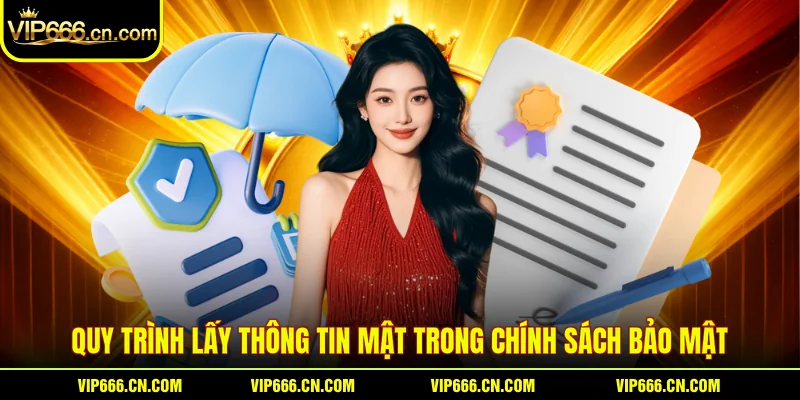 Quy trình lấy thông tin mật trong Chính Sách Bảo Mật