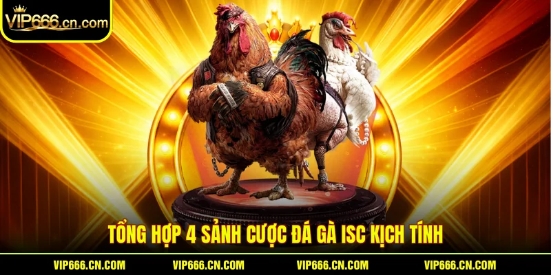 Tổng hợp 4 sảnh cược Đá gà ISC kịch tính