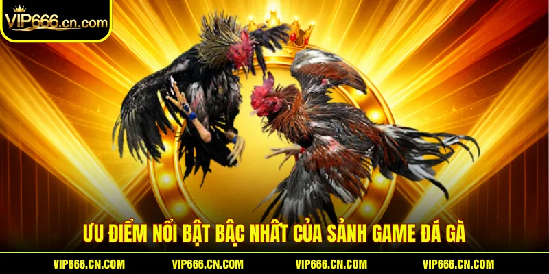 Ưu điểm nổi bật bậc nhất của sảnh game Đá gà